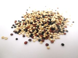HighVibe- Tricolor Quinoa (raw, organic)
