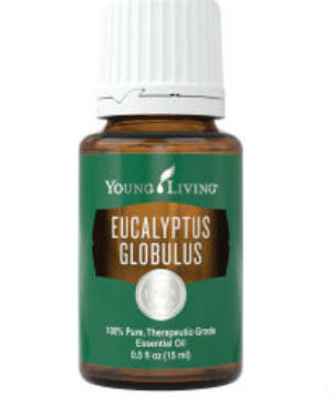 Young Living Eucalyptus Globulus Essential Oil 15 ml