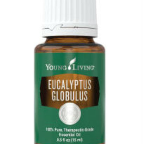 Young Living Eucalyptus Globulus Essential Oil 15 ml