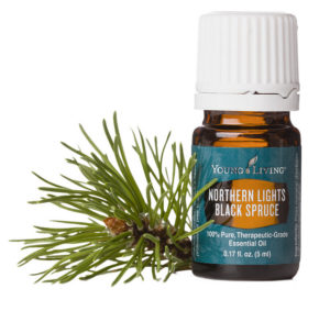 Young Living Northern Lights Black Spruce Essential Oil 5ml